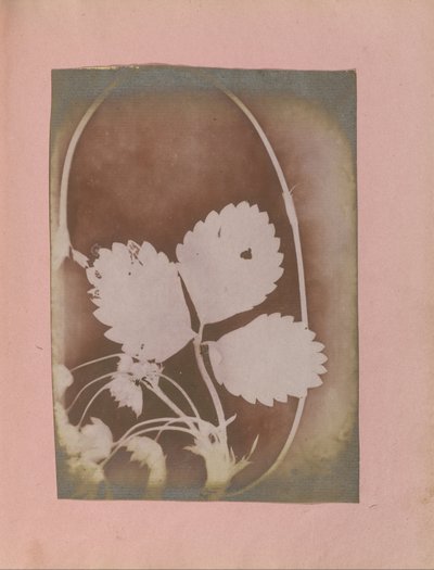 Plant Branch with Leaves and Flowers by Unbekannt Unbekannt